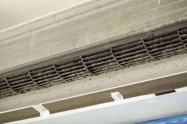Best Affordable Air Duct Cleaning  in West Wyoming, PA