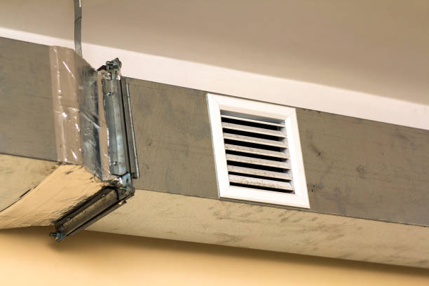 Air Duct Mold Removal in West Wyoming, PA